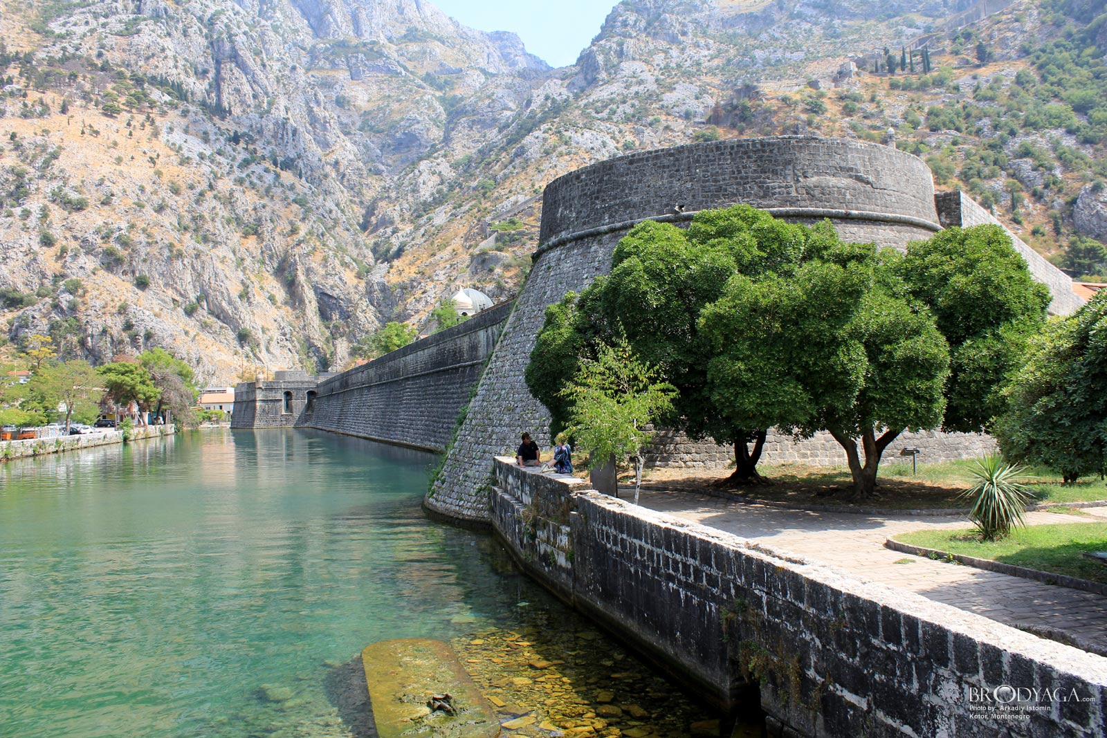 Kotor